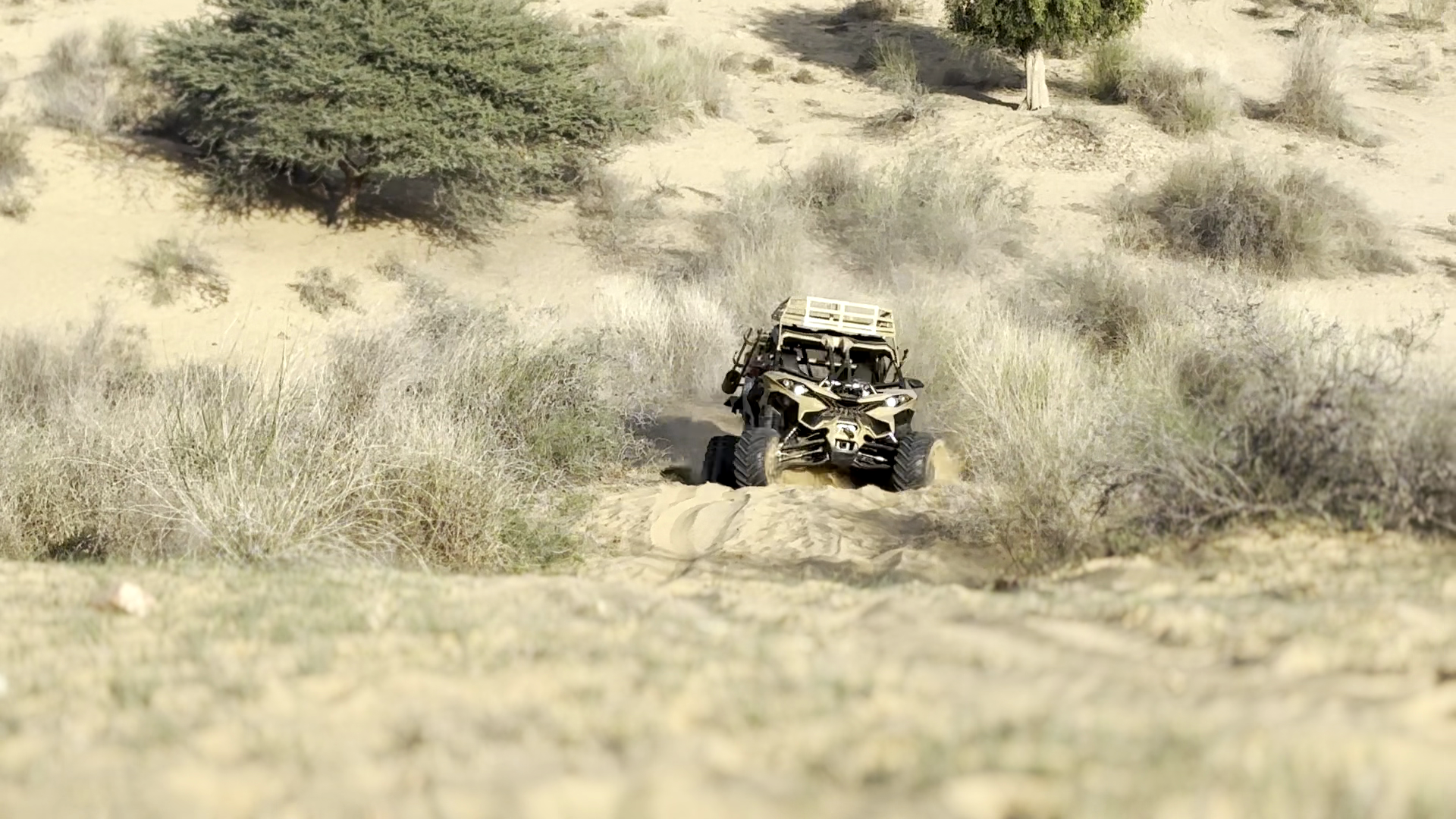 Dhash Defense Systems